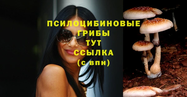 spice Осташков