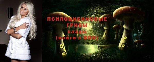 spice Осташков
