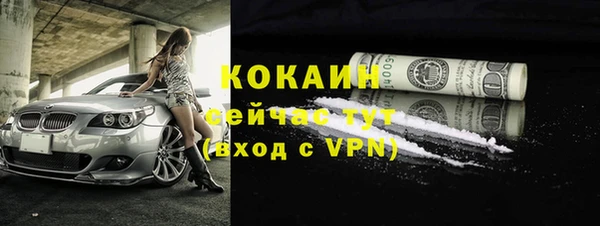 твердый Пестово