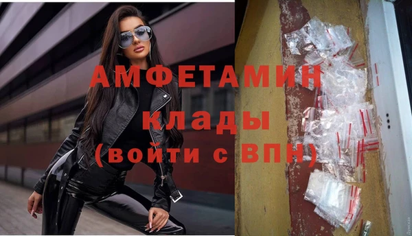 мдпв Пересвет