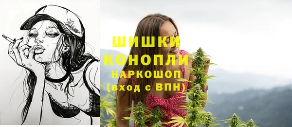 spice Осташков