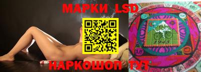 mdpv Заводоуковск