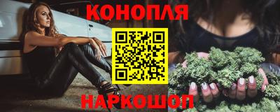 mdpv Заводоуковск